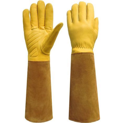 Gants de protection RONCIER épines et ronces - Taille 11.5cm - Brun (1/5)