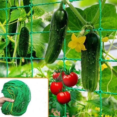 Filet treillis plantes jardin filet vigne treillis d escalade torsion végétale convient légumes clématites concombres (1/5)