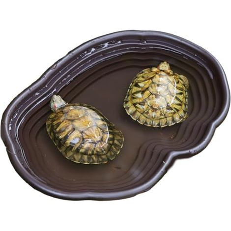 Plat d'eau de tortue avec rampe 15x11x2 pouces de reptile peu profonde Reptile Discing lisse Easy Easy lavage polyvalent TURTLE ABS TURTLE POUR GECKO Snake, marron, tortue (1/5)