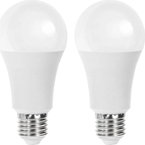 Ampoule aigostar a60 21W 6500K 2 pcs