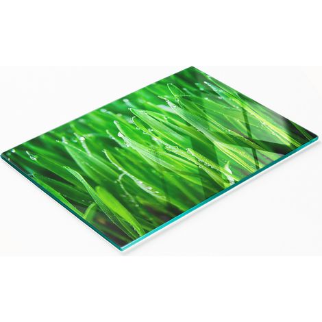 Planche décorative en verre avec motif d'herbe pour présenter des amuse-gueules 80x52 cm (1/5)
