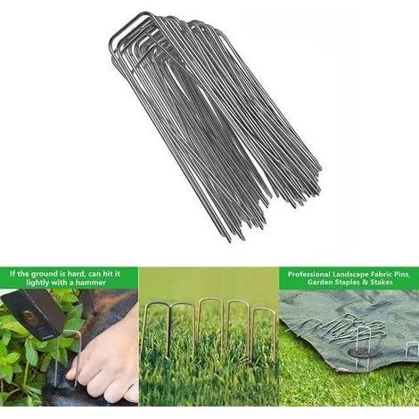 Lot de 50 piquets de Fixation en Acier H200mm, L4mm, Ø2,5mm Tête Plate (1/5)