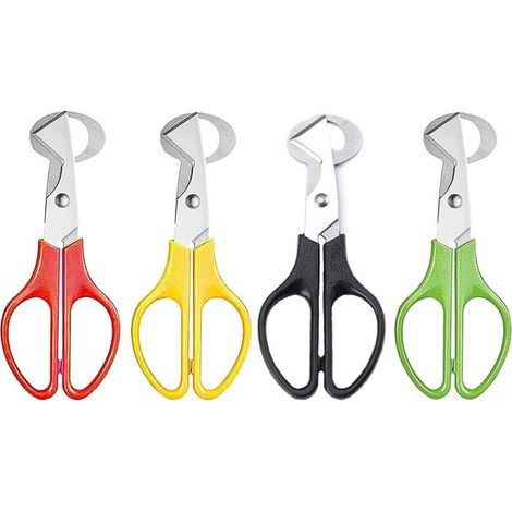 Set per tagliare e aprire le uova, composto da 4 forbici e divisore per uova in acciaio inossidabile, ideale per la casa e la cucina, perfetto per cucinare e preparare dolci. (1/5)