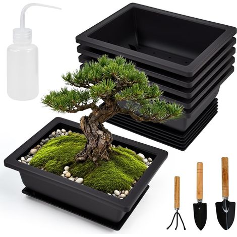 ciotole grandi per bonsai, vasi in plastica per bonsai, ciotole per piante con sottovasi, 16,5 x 12 x 6 cm, vasi rettangolari per la coltivazione di bonsai con annaffiatoio per giardino, soggiorno, ba (1/5)