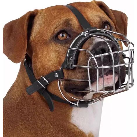 Bozal para perros  Diadema ajustable y cómoda (1/5)