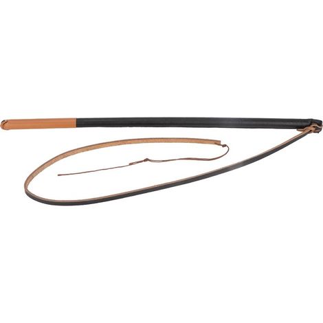 Fouet en cuir pour dressage de chien, laisse protectrice pour chiens de taille moyenne et grande (couleur des embouts aléatoire) (1/5)