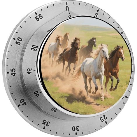 Minuteur visuel pour courses hippiques, d'ordinateur mignon, sans (1/5)