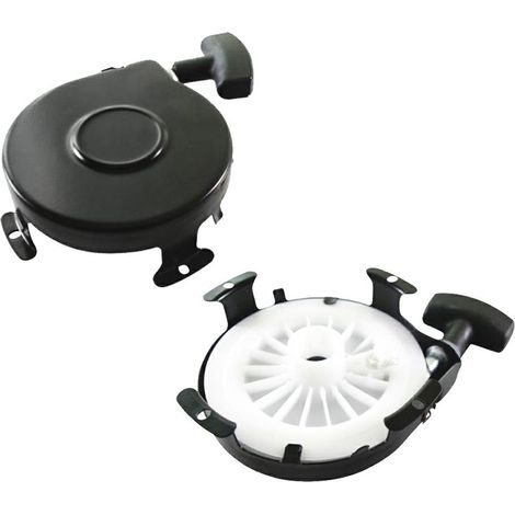 Avviamento Briggs Stratton - 390463