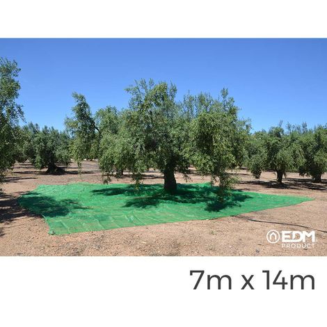 Manteau Pour La Collecte Des Fruits 7x14m Couleur Verte (1/3)