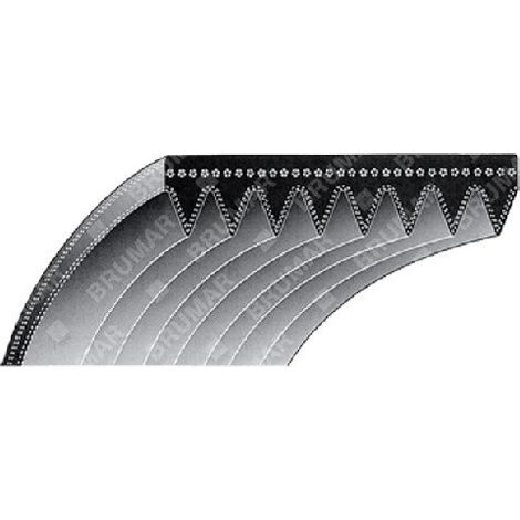 BANDRIEMEN für Rasenmäher SNAPPER - SIMPLICITY COMPATIBLE - 012656