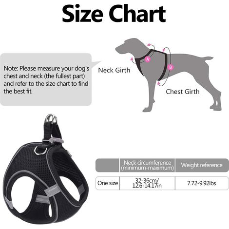 Harnais et Laisse pour Chien et Chat - Ensemble Confortable et Réglable avec Bandes Réfléchissantes pour Promenade en Toute Sécurité (1/5)