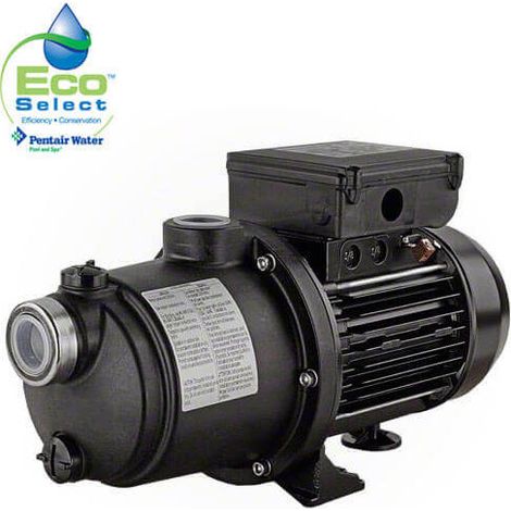 Pentair – Surpresseur 1,5 cv monophasé – Débit puissant – Compatible eaux douces et salées – Moteur à 5 turbines – Pression max 7 bars (1/4)