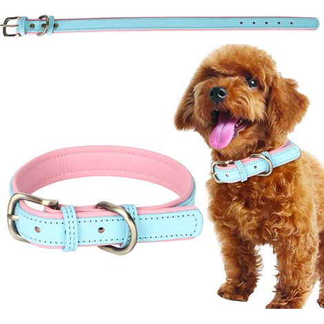 Collier Pour Chien - Cuir Artificiel Bleu Clair - Boucle Métal Bronze - Réglable Pour Animaux Moyens - Taille M (1/5)