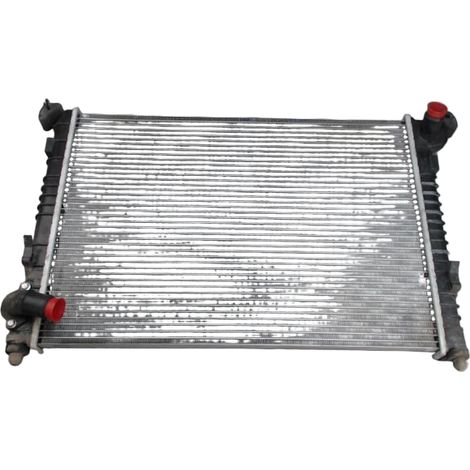 Radiateur Mini Mini [PRODUIT D'OCCASION]♻️17117570821 (1/2)