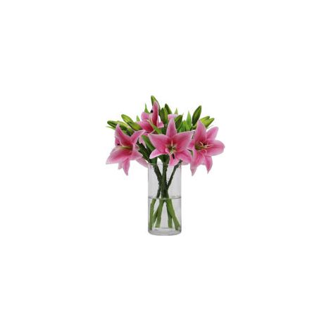 Lot de 6 lys artificiels rose foncé, Sculpture florale artistique, Décoration intérieure élégante, Haute qualité écologique, Sans entretien, Pour maison, bureau, mariage, fête (1/5)