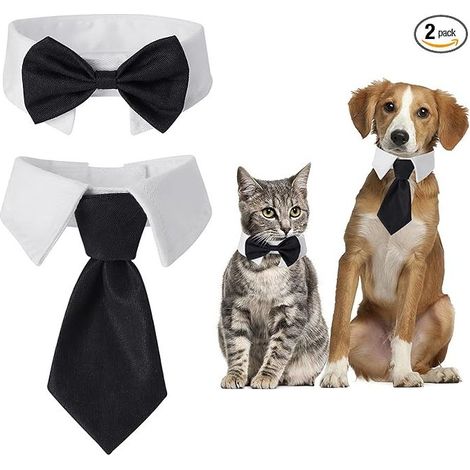 tuxedo collar for dogs and cats, adjustable pet bowtie, wedding collar for cats and dogs, bow tie for dogs and cats, wedding costume for puppy (1/4)