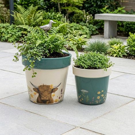 Duo Highland Cow Planter Pot Set (1/2)