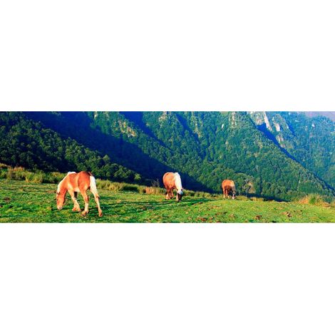 Tableau sur toile chevaux Gavarnie 30x97 cm - Impression sur Toile Murale Décorative - Image imprimée en HD sur Toile - Toile sur Châssis en Bois FSC - Fabriqué en France (1/4)