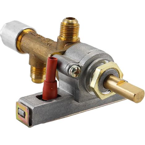 Valve de sécurité à gaz avec Dispositif d'allumage piézo pour Remplacement des chauffages de terrasse au gaz Propane (1/5)