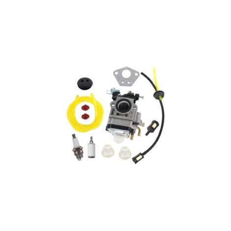 Carburatore per decespugliatori da 52cc, 49cc e 43cc. Kit completo con guarnizione e filtri. Lega di alta qualità per la massima efficienza del motore.