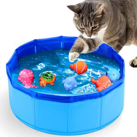 Jouet aquatique pour chat avec poissons, jouet de piscine portable, jouet d'eau interactif pour chats d'intérieur qui s'ennuient, pour des heures de jeu en solo. (1/5)