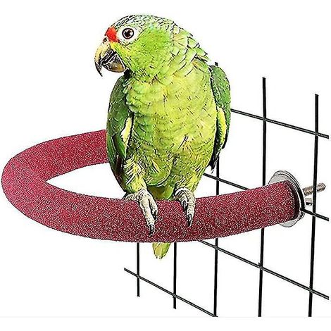 Perchoir pour perroquet, support en forme de U pour oiseaux, jouet pour animaux de compagnie, bâtonnet nettoyant et limbique pour calopsittes, inséparables, conures et perroquets gris du Gabon - Taill (1/4)