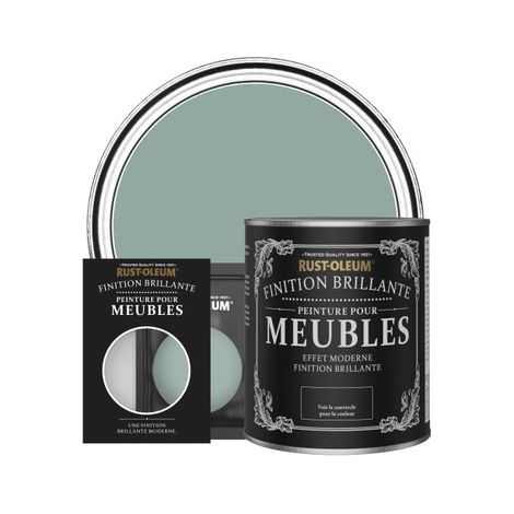 Peinture pour Meubles Brillante - Bleu Gris (1/2)