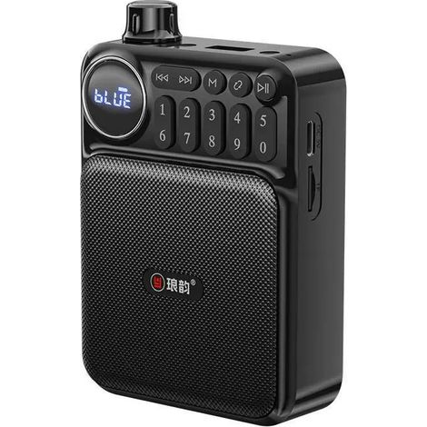 Mini radio FM (noire) - Rechargeable - Haut-parleur Bluetooth - Enregistreur, compatible carte TF, interface USB, prise casque 3,5 mm (1/5)