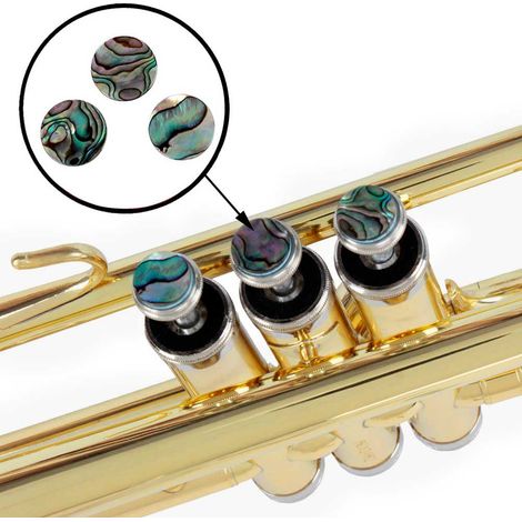 3 pièces Boutons de Remplacement pour Coquille d'Ormeau Trompette, Accessoires Clés (1/5)