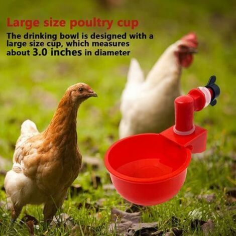 Abreuvoir Automatique - Bol Distributeur Eau Pour Poules - Compatible Seau ou Tuyau - Diamètre 7,6 cm - Plastique + Ressort Inoxydable - Lot de 6 (1/4)