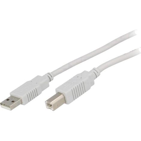 Cable USB 2.0 USB A prise male USB B prise male 3m - Gris clair