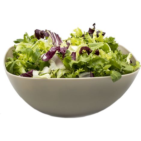 Cuenco de plastico cuadrado para comida Bol 4.8 Litros Marron (1/4)