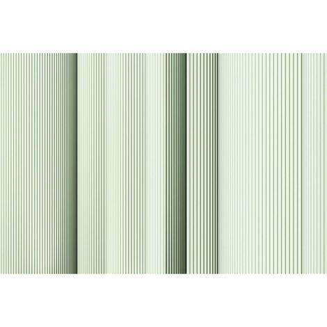 Papier peint panoramique vert trompe l'œil salon Tapisserie panoramique vintage effet rétro tendance 3d Papier peint panoramique design original (1/2)