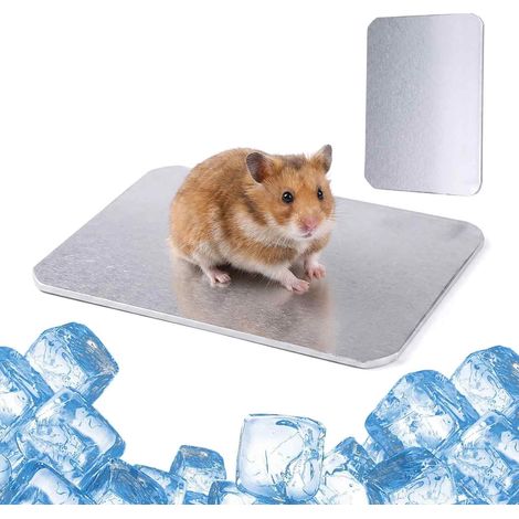 Tapis Rafraîchissant - Alliage D'aluminium - Pour Hamsters Lapins Chats Chiots Cochons D'Inde - 30 x 20 cm - Réutilisable (1/5)