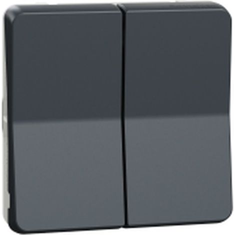 Interruptor seccionador MUREVA gris IP55 10 AX 250 V AC 2 vías 2 elementos basculantes