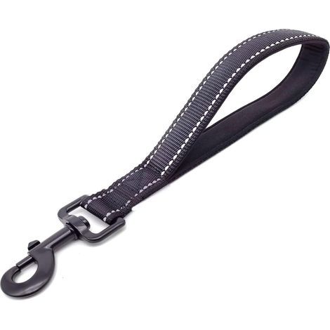 Laisse Courte pour Chien (1/5)