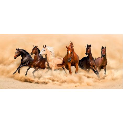 Horses, photo murale intissée, 202 x 90 cm, 1 part (1/3)
