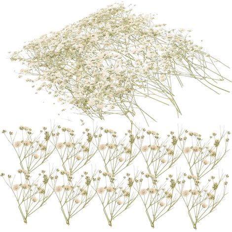 Bouquet de Fleurs Séchées Naturelles DIY , 80 Branches de Gypsophile Facile à Entretenir pour Décoration de Vases et Événements Diplômes (1/5)