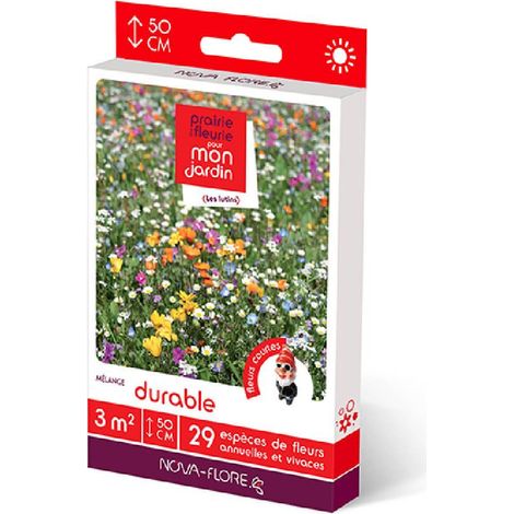 Prairies fleuries : prairie durable 3 m2