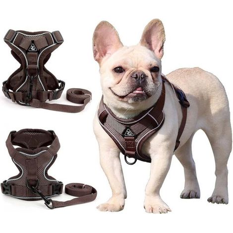 Filiyano-Harnais pour chiens de petite et moyenne taille (marron, taille M) – Fei Yu