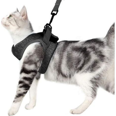 Ultraleichtes Katzengeschirr mit Leine, weiches und bequemes Kittenhalsband, Katzenlaufjacke, auslaufsicher, geeignet für Welpen und Kaninchen (Grau, S) (1/4)
