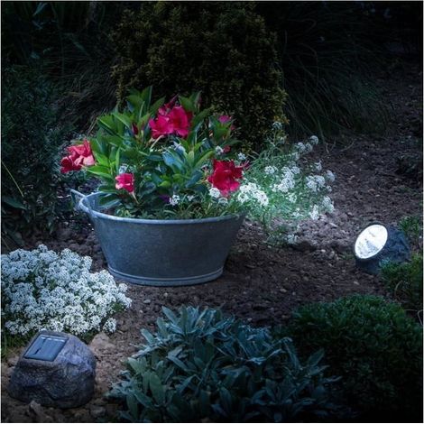 Spot LED solaire effet rocher, idéal pour le jardin, discret le jour, efficaces la nuit, Top ventes (1/6)