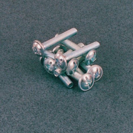 SC VITI P/POMOLI T.B. LARGA D 4X40 MM 20 PZ Q.TA 5