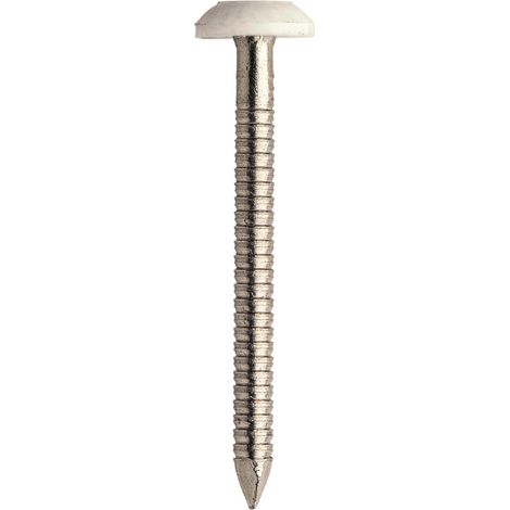 Jcp Fixings A4-316 St/St Plastic Headed Nails 40 x 2.00mm - Bo... (1/2)
