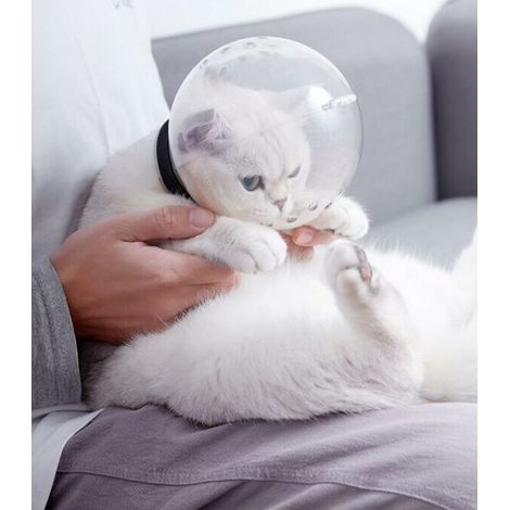 [JAMAIS UTILISÉ]Nez de chat respirant anti-morsure beauté espace anti-léchage housse de protection museau chat produits de beauté de bain (1/3)