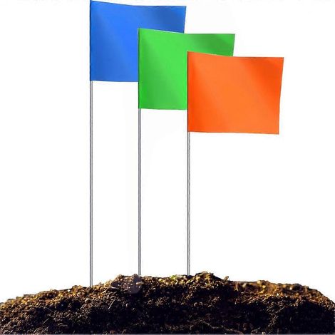 Lot de 100 fanions de balisage, drapeaux de pelouse, drapeaux de marquage