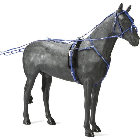 Vollständig, Rot, Schwarz Profile 66: PVC Daslö Trabzaum mit Quick Hitch mit Kopfstück Bremse Sattel mit Untersattel Sattelgurt Leiterzügel Martingal unter Schweif (1/4)