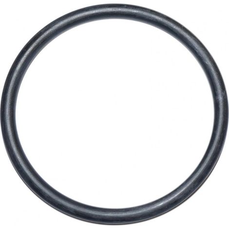 Joint torique de 90 mm de diamètre pour traversée de paroi de filtre piscine Ardeche