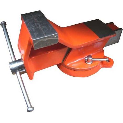 Alte 04502 Morsa Acciaio Girevole 100x105