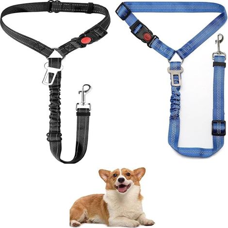 Ceintures de Sécurité Ceinture Sécurité Chien Voiture Réglable Chien Harnais De Voiture Harnaisen NylonAnti-Choc Élastiquepour Chiens Petits Moyens Grands(Bleu Noir) (1/5)